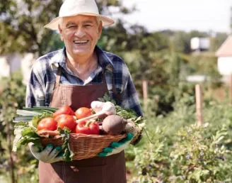Potager commun