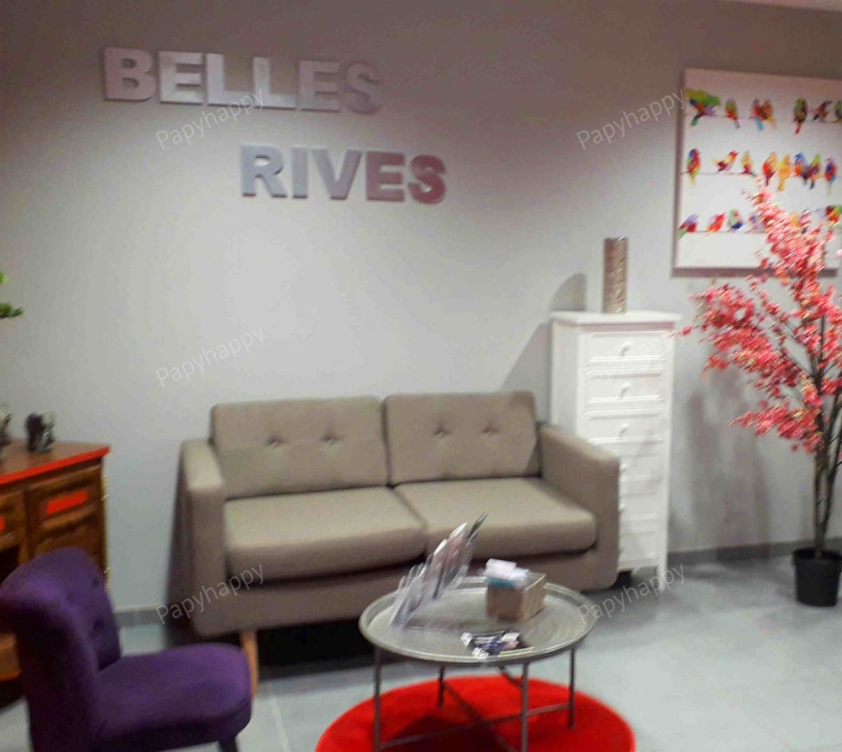 Résidence Belles Rives - Villas Gingkos (8/15)